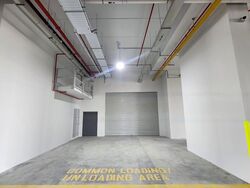 Ct Foodnex (D25), Factory #481528851